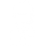 headset (2)
